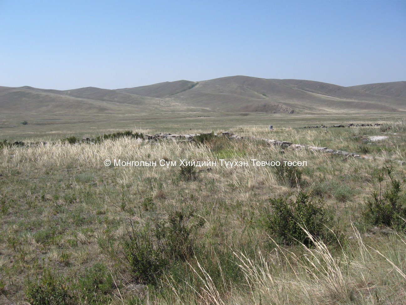 Хойд талаас авсан